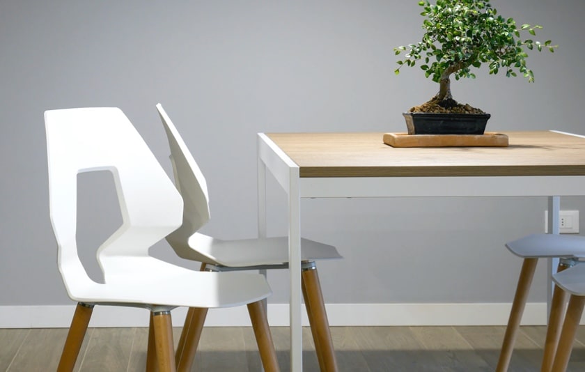 Stylish white chairs and table with a bonsai tree on top.