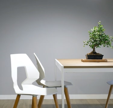 Stylish white chairs and table with a bonsai tree on top.